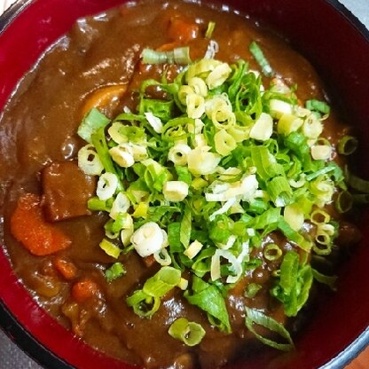 うどんプラスでカレーうどんにしました。美味しかったです(*^-^*)